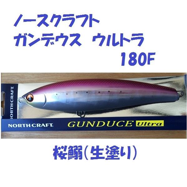 matsumoto_nc-gd5