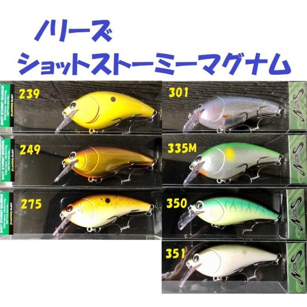 matsumoto_nrs-ssm2