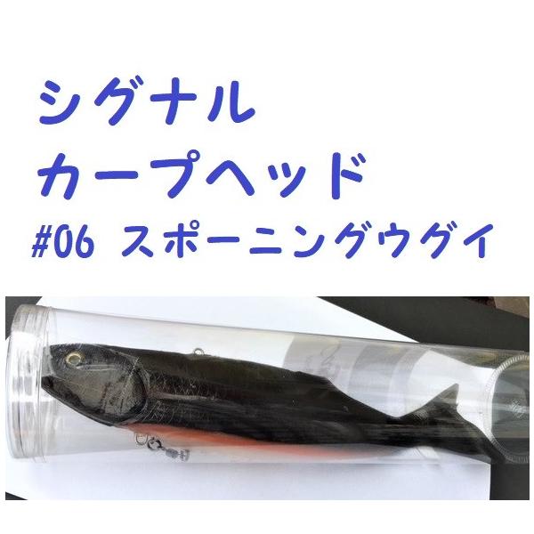 カープヘッド シグナル カープヘッド #06 スポーニングウグイ / SIGNAL Carp