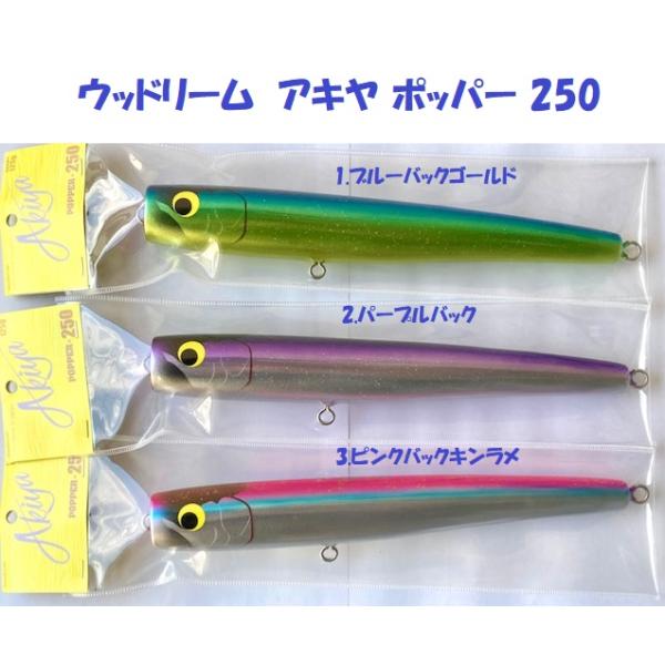 matsumoto_wd-akypp25