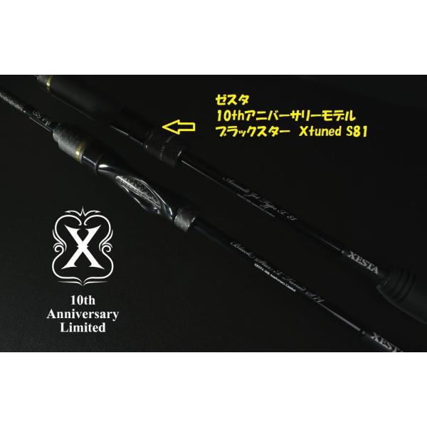 ゼスタ アサルトジェットタイプX EFT81 10THアニバーサリーモデル ゼスタ（XESTA） アサルトジェットタイプX EFT81 10TH