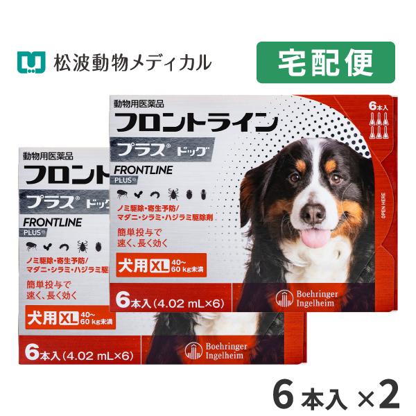 【10％OFFクーポン】フロントラインプラス 犬用 XL (40〜60kg) 6ピペット 2箱セット 動物用医薬品【B配送】