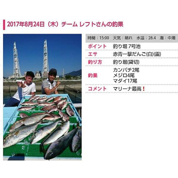 赤青一撃だんご 炎雷 3種最強セット 釣りエサ 海上釣堀 Buyee Buyee Japanese Proxy Service Buy From Japan Bot Online