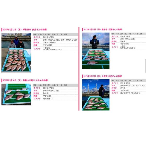 赤青一撃だんご 炎雷 3種最強セット 釣りエサ 海上釣堀 Buyee Buyee 日本の通販商品 オークションの代理入札 代理購入