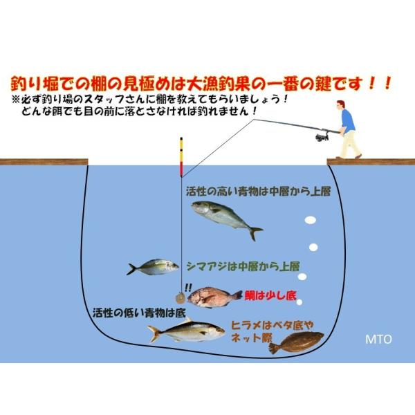 釣堀セットprox 海上釣堀くわせ 360cm リール バルトム海上釣堀2 ロッドリールセット 仕掛けセット Buyee Buyee 提供一站式最全面最專業現地yahoo Japan拍賣代bid代拍代購服務 Bot Online