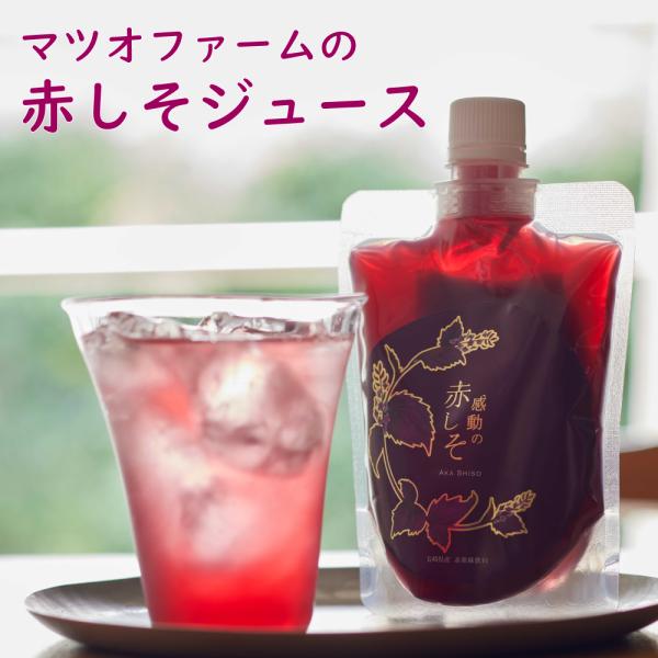 マツオファーム 赤しそジュース「感動の赤しそ」 200ml 15個 長崎県産 紫蘇ジュース シソジュース ビタミン ポリフェノール 合成着色料無添加