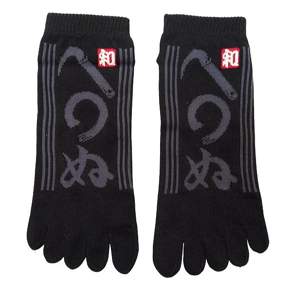 y܂ʁEza5{w\bNXEXj[J[ijpFQT`QWj