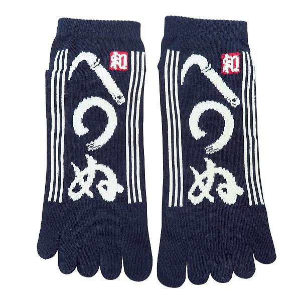 y܂ʁEza5{w\bNXEXj[J[ijpFQT`QWj