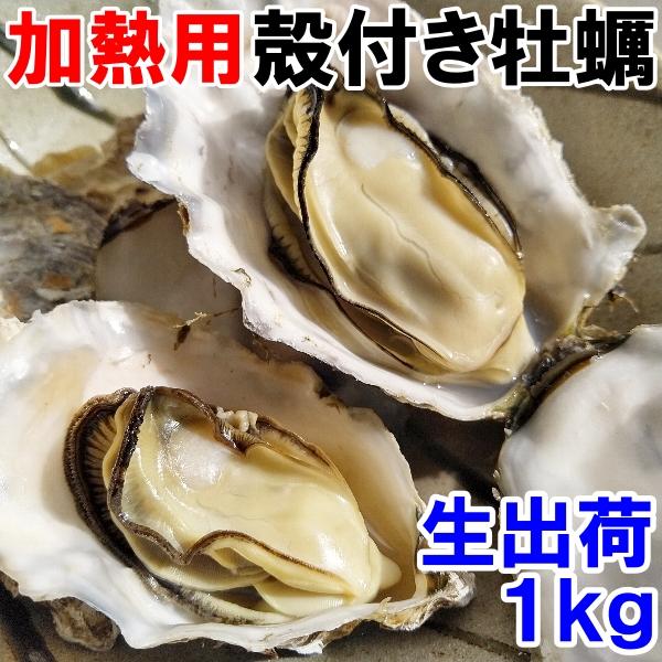 宮城県産の殻付き牡蠣になります。重量は牡蠣の中身と殻を合わせての重量になります。　写真は5月、6月の旬の時期を使用してますので9月〜3月は写真とは大きく異なります。牡蠣の個数ですが時期によってかなりのバラツキがありますが概ね1kgあたり9個...