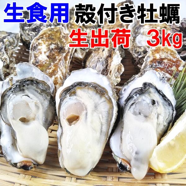 宮城県産の殻付き牡蠣になります。重量は牡蠣の中身と殻を合わせての重量になります。　写真は5月、6月の旬の時期を使用してますので9月〜3月は写真とは大きく異なります。牡蠣の個数ですが時期によってかなりのバラツキがありますが概ね1kgあたり9個...