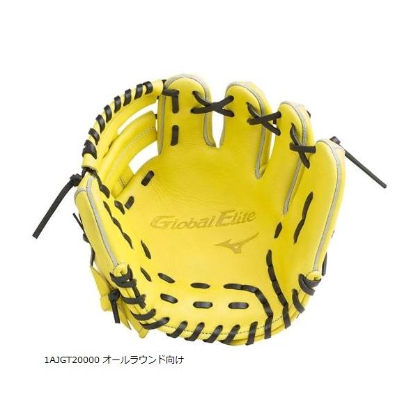 MIZUNO（ミズノ） 硬式用 トレーニンググラブ 1AJGT200 1AJGT20000