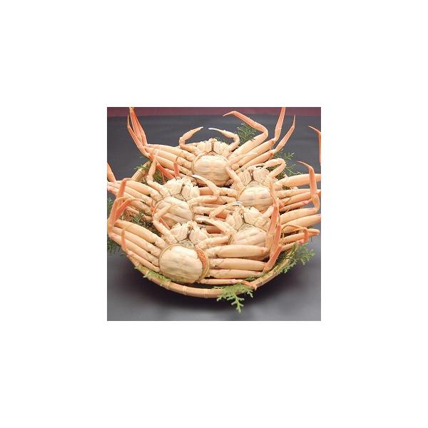 せこがに 子持ちがに訳あり浜坂産