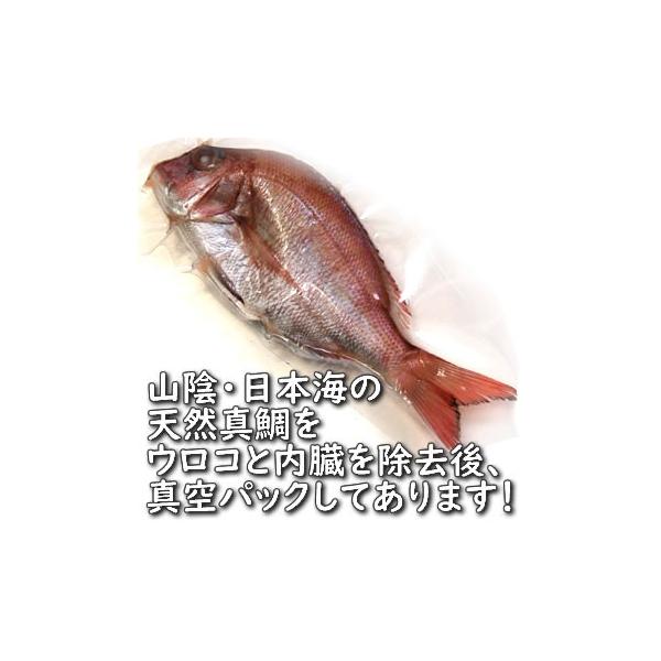 �V�R�E�^��i�������ς݁E�Ⓚ�j �P�� ��17-19cm (�l��Y)�i�����E�^�C�j ���i�摜1