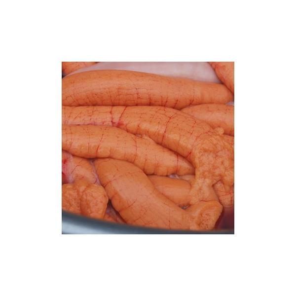 i@ɏj̐^qijiⓀj270-320iɌlYjiTAԁAj