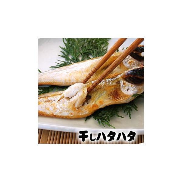 RAY@n^n^銱iⓀjn^n^̒ł͂߂傫TCY@UCiRAYj󏭂ȃTCYłiE͂͂En^j