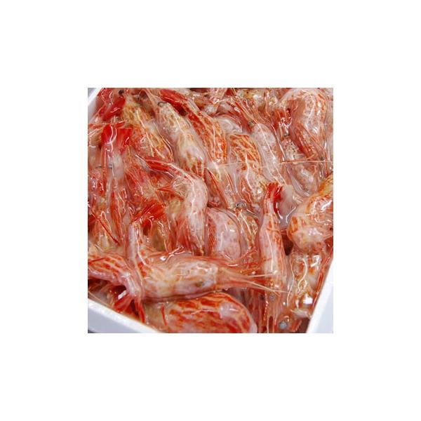 RAl`̂hgpu܂сiсjv@500gȏiDⓀj