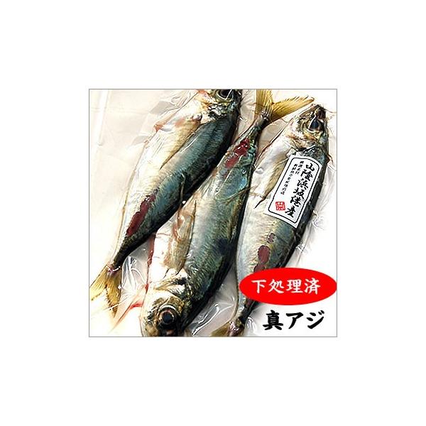 下処理済 真鯵 生冷凍 3尾入 真アジ 真あじ アジ あじ マアジ Buyee Buyee 提供一站式最全面最專業現地yahoo Japan拍賣代bid代拍代購服務 Bot Online