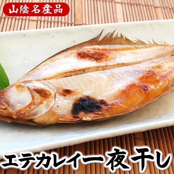 かれい（イテカレイ）一夜干し（冷凍）約25〜27cm程度　６枚入り 食べやすいサイズ感　山陰名産（干物,いてかれい,えてかれい,エテカレイ,鰈,カレイ）