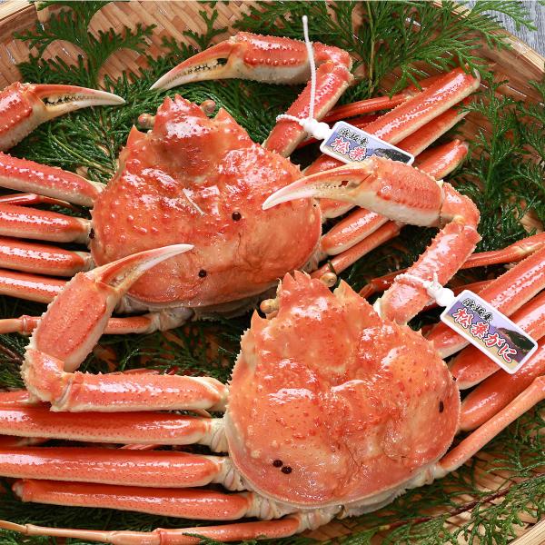 プロ茹で松葉がに 姿 浜坂産