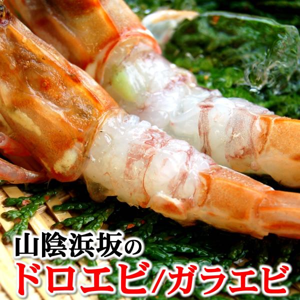 ◆商品内容 兵庫県浜坂産　ドロエビ・ガラエビ（冷凍）大小混ざり　500ｇ以上（目安：約30匹以上入り） ※500ｇという規格で作っておりますので、製造する漁船によって、並べ方、大きさの混ざり具合、入り数等、それぞれで異なります。写真や入り数...