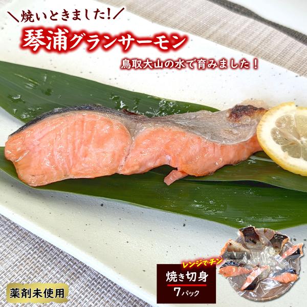 焼いときました とっとり琴浦グランサーモン 焼魚７切 塩焼き 不揃いのため訳あり 塩麹 塩こうじ 個包装 レンチン 無投薬養殖 国産 養殖 鮭 切身 切り身