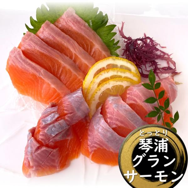 この「とっとり琴浦グランサーモン」は、鳥取県琴浦町の大山からの良質な地下水で育てられています。養殖魚は、ワクチンや投薬をされるのが一般的ですが、このサーモンは卵から成魚まで一貫して無投薬で丁寧に育てられていますので、安心してお召し上がりいた...