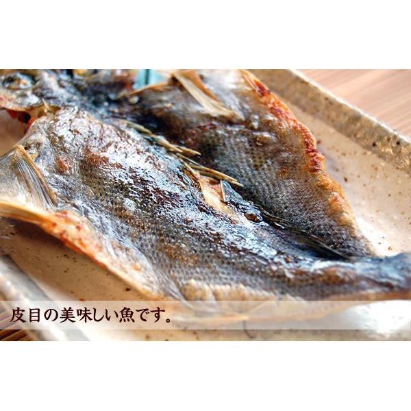 イサキ開き（冷凍） 1尾入×100-129ｇ程度 （浜坂産） （高級魚いさき 