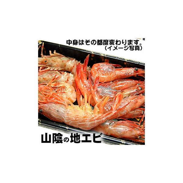 浜坂産　地エビ（冷凍）約150g入（10尾程度入り） 【注意事項・必ずご理解の上、ご注文ください】※地海老とは・・・ここ山陰では、甘エビ、モサエビ、ドロエビ（ガラエビ）、オニエビ、スジエビといった海老が水揚げされます。写真はイメージ写真です...