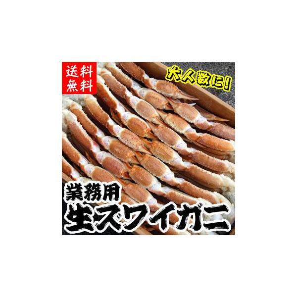 iƖpjɂEĂɂɁij킢ɑiEⓀjLTCYE5kgOi22-23jisjiZbg)