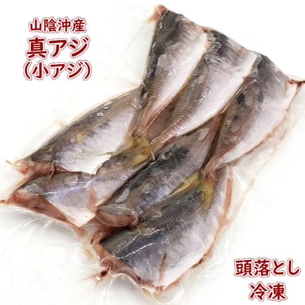 魚 アジ 生の人気商品・通販・価格比較 - 価格.com