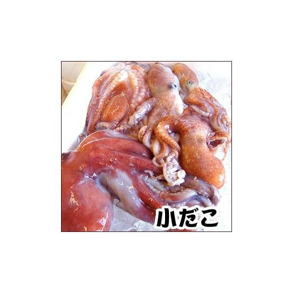 船上凍結された小ダコです。◆商品内容　浜坂産　小ダコ（生冷凍）　約1.2〜1.5ｋｇ前後　※とれたてを船の中で冷凍したもので、下処理をしておりません。　※お刺身用にはなりません。◆賞味期限　解凍前：冷凍保存で1ヶ月   解凍後：冷蔵保存で2...