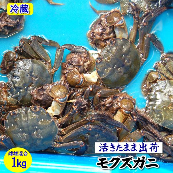 ＼値下げセール中／天然 モクズガニ (活生)オス・メス混ざり 約1kg前後（5-10匹前後）大小混ざり（兵庫県産） ツガニ ケガニ ヤマタロウガニ 川ガニ カニ