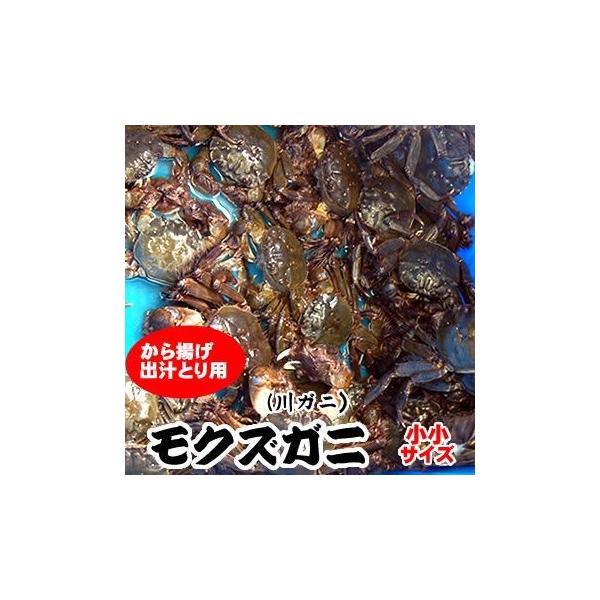 天然モクズガニ（活生）メス　小サイズ　約1ｋｇ前後（兵庫県産）小さいサイズです。（ツガニ、もくず、川がに）