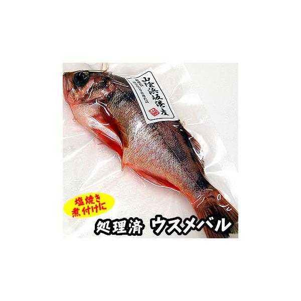 EXoiILojiⓀEς݁j P@22-24cmilYji߂΂ERMEj