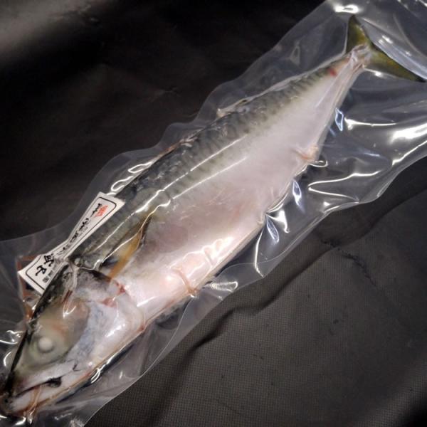 ^ToiρEⓀj@1@1.0-1.2iOdjilYj