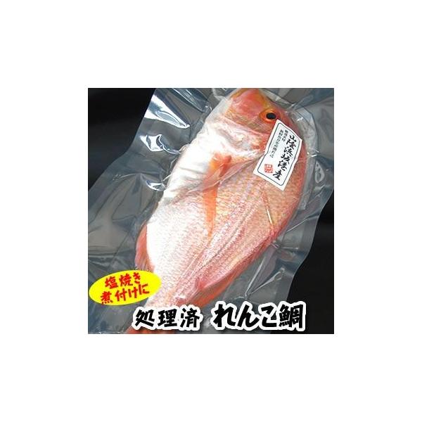 VR񂱑@1@24-26cmiⓀEρjRA@ɌYi񂱂A񂱂AR_CARAAqAj