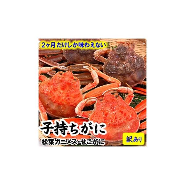 ƂꂽĖ󂠂EZRKj()@@6iɌlYjijiwsjiqKjAtKj̃XAɁAZCRKjAIj