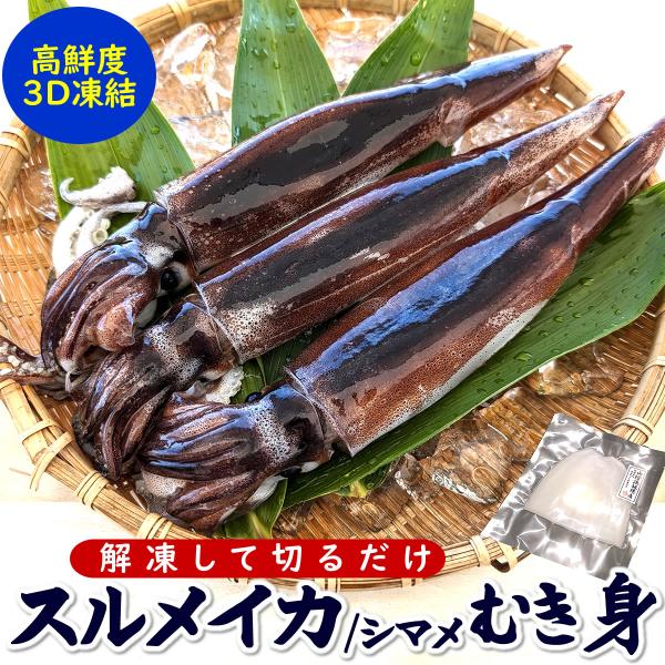 下処理済　するめいかむき身（刺身用）とゲソ（冷凍）１杯分　国産（山陰浜坂産）（シマメイカ、しまめいか、スルメイカ、さしみ）