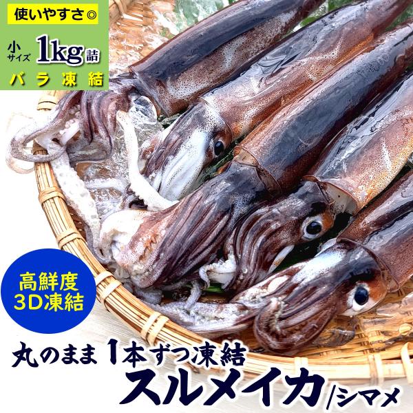 訳あり するめいか（冷凍）小　約1ｋｇ（8-11杯入）国産（山陰浜坂産）送料無料 小サイズ 家庭用 シマメイカ しまめ スルメイカ いか刺身 IQ バラ 訳あり 訳有