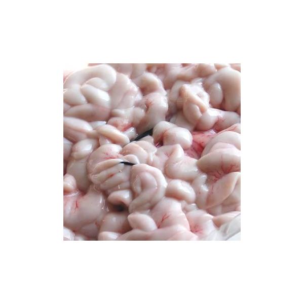 訳あり混じり・真鱈白子（しらこ）（冷凍）約150ｇ　（浜坂産）　（本鱈・たら・タラ・しらこ・たち）