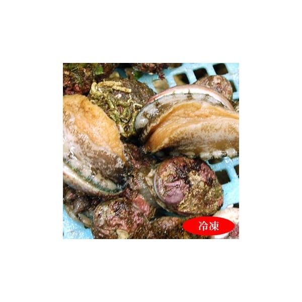 VRƂԂiⓀj@200i10Oj@召@iRAlYj@igRuVAAqAȂ߁ALj