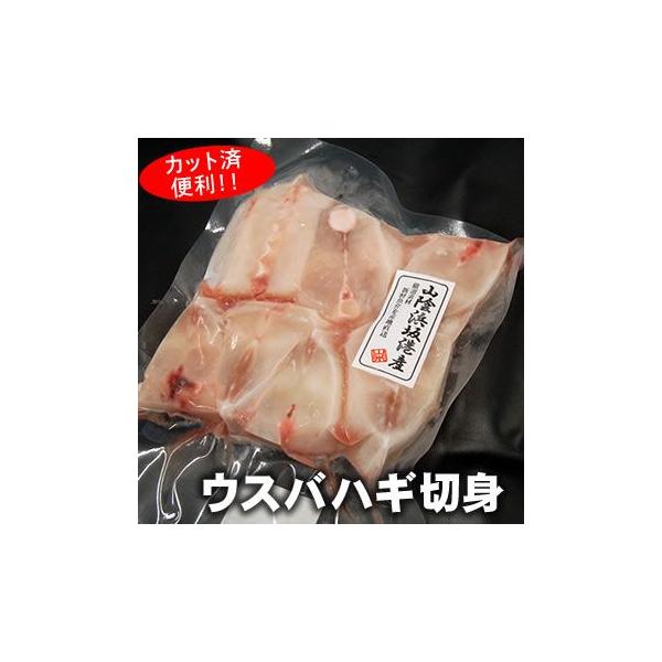 EXonM؂giⓀj450-500x@YiRAlYji͂AJnMAm}AnQ A͂AnQAAȂׁj