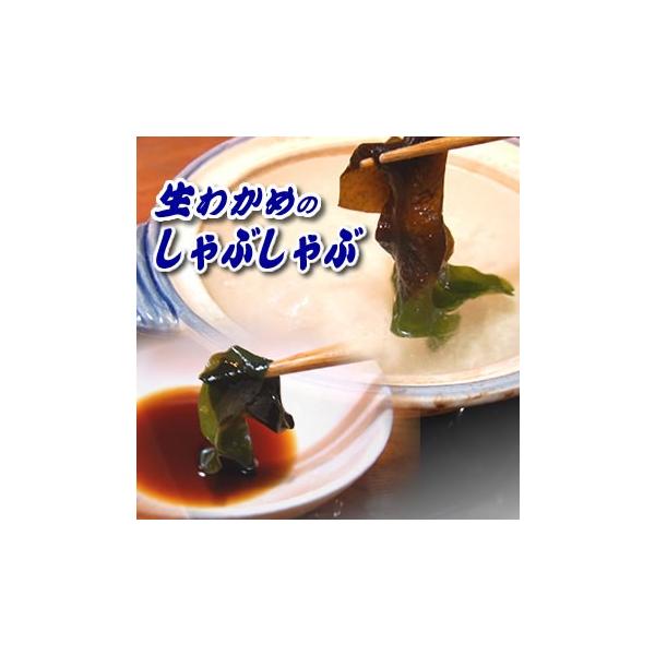 しゃぶしゃぶ 汁用 生わかめ 若布 ワカメ 冷凍 使い切りサイズ約50g 5p 山陰浜坂産 国産 乾燥とは違い みずみずしいわかめです おさしみわかめ Buyee Buyee Japanese Proxy Service Buy From Japan Bot Online