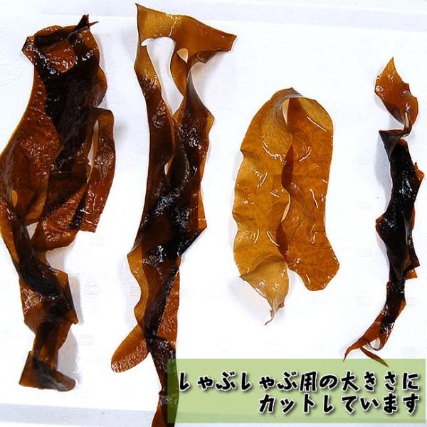 しゃぶしゃぶ 汁用 生わかめ 若布 ワカメ 冷凍 使い切りサイズ約50g 5p 山陰浜坂産 国産 乾燥とは違い みずみずしいわかめです おさしみわかめ Buyee Buyee Japanese Proxy Service Buy From Japan Bot Online