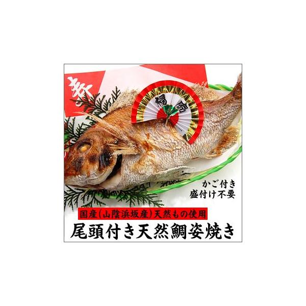 （送料無料）尾頭付き天然鯛の姿焼き　けっこう大きいサイズ　1匹（山陰浜坂産）　焼鯛・焼き鯛・たい・タイ