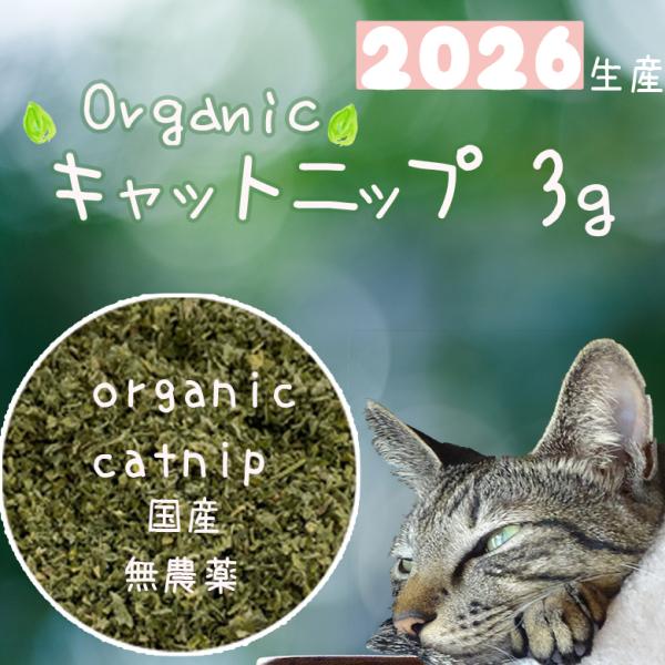 国産 オーガニック キャットニップ 2026産　無農薬 安心 安全