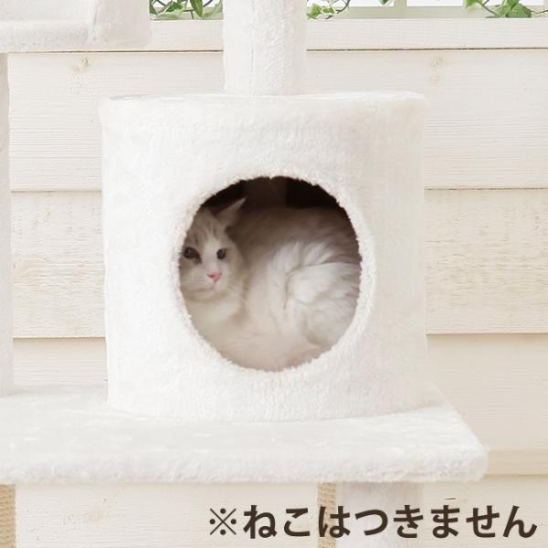 yiziHjnEX^30×28iRRj