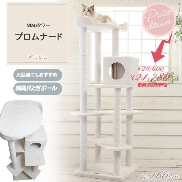 スペシャルプライス28,600円→21,780円 Mauタワープロムナード