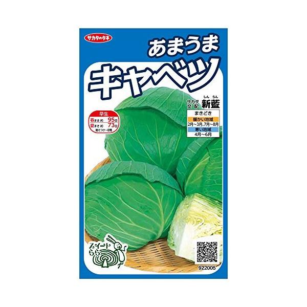 サカタのタネ 実咲野菜2005 あまうまキャベツ 新藍 00922005