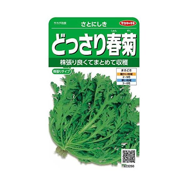 サカタのタネ 実咲野菜3250 どっさり春菊 さとにしき 00923250